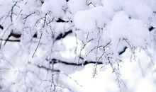 自然规律的谚语