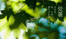 24节气的谚语夏