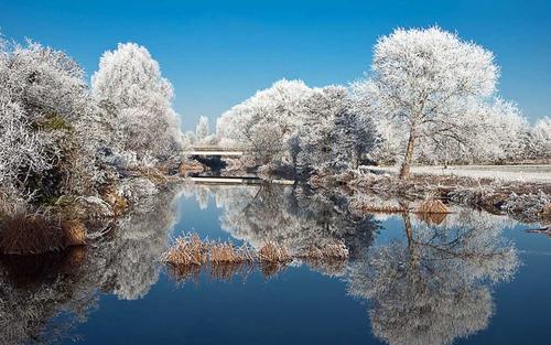 美丽的句子描述雪