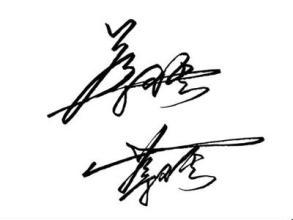 文学人格特征较短