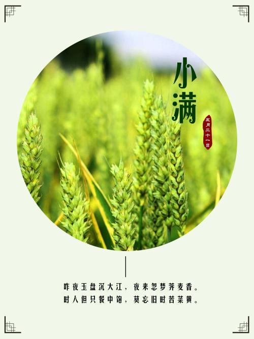 24节气小个子谚语