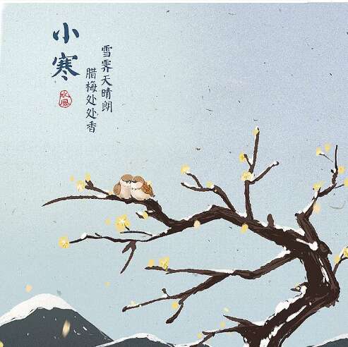 关于莲花的谚语