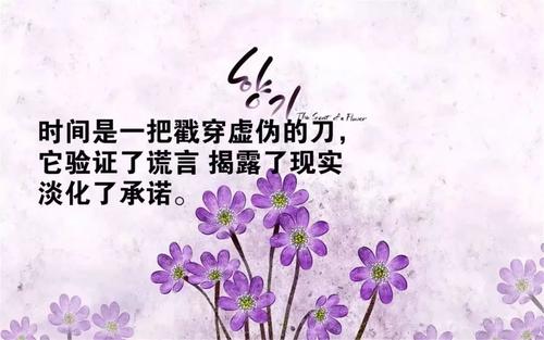 关于朋友圈的简短句子