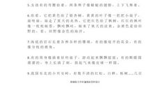 比喻句小学5年级