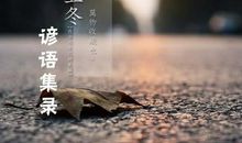 关于24节气的谚语