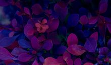 关于安静的个性签名