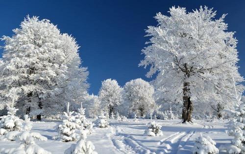 关于冬天的审美句子