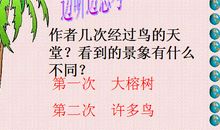 鹤发童颜造句大全