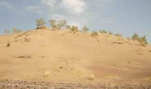 唐三藏过火焰山歇后语