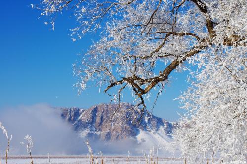 比喻句子描述了很多雨
