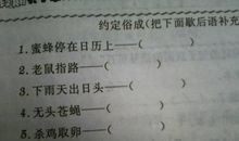 蜜蜂趴在日历上歇后语