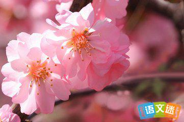 兴化的拟人化句子