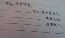 写菊花的比喻句