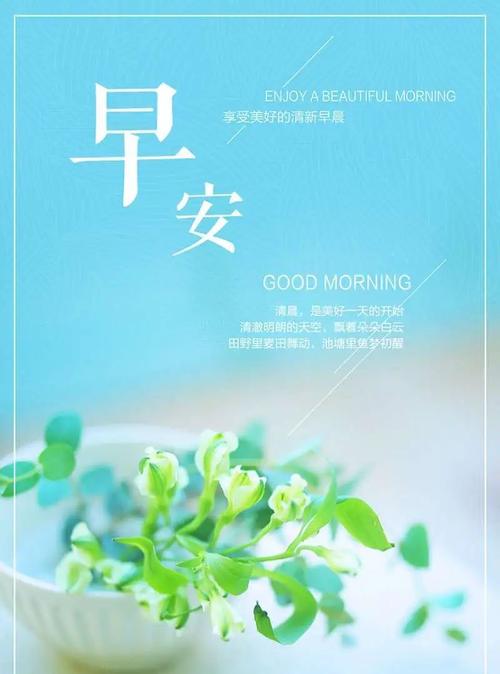 2020年最经典的句子