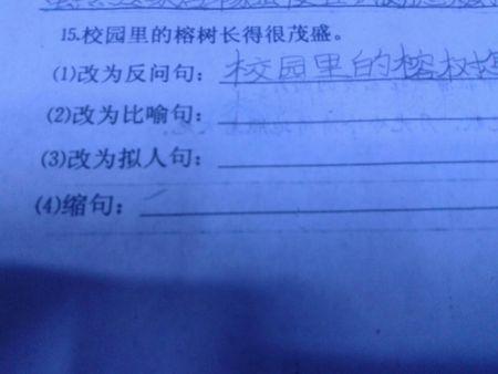 海洋的拟人化句子