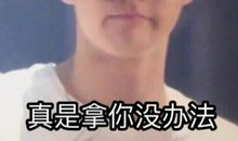 口袋里装刺猬歇后语