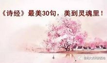 诗经中表达思念的句子