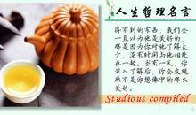 富有人生哲理的名句