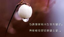 伤感的句子心情说说