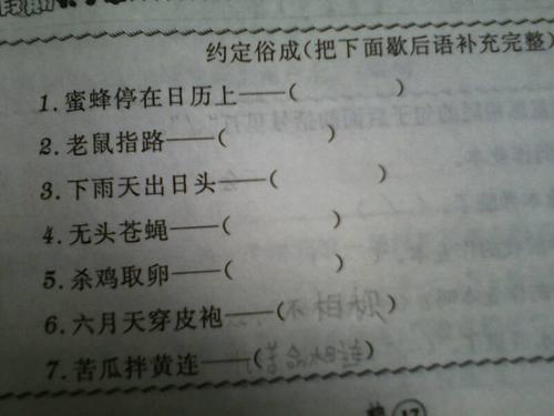 蜜蜂的眼睛过敏