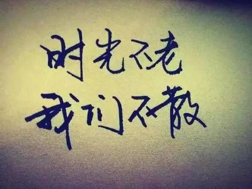 表达同学友谊的句子