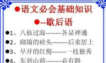 油瓶倒了也不扶歇后语