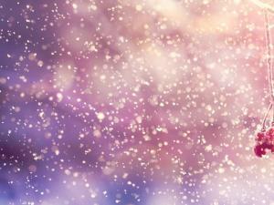 一个美丽的星星寓言