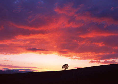关于日落的寓言