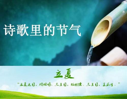 关于丽霞的谚语