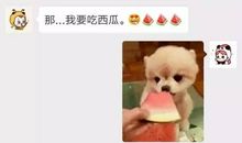 朋友圈撩人说说