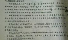 植物比喻句有哪些