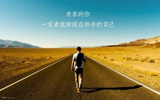 表达努力的句子