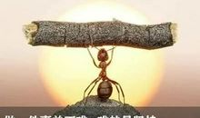 早上努力正能量的句子