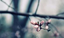 与立春有关谚语