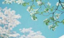 朋友天天开心祝福语简单 每天开心快乐的句子