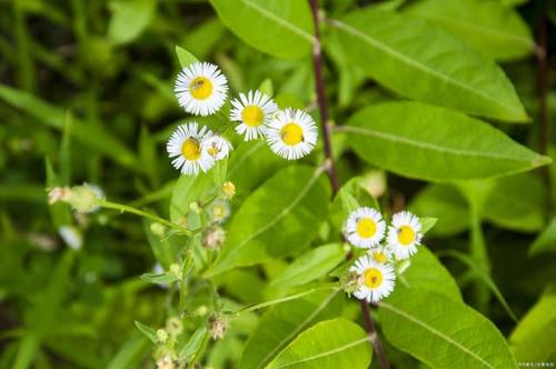 2020年最美的句子