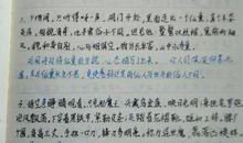 优美的段落摘抄