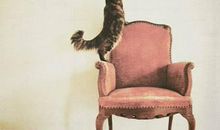 椅子像什么比喻句二年级