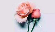 适合郁闷发朋友圈的句子