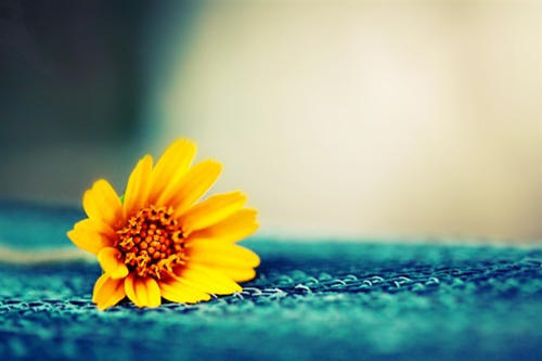 用来描述时间的句子，忘记不开心的事，谈论心情，忘记所有不愉快的事，谈论1