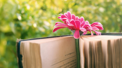 快乐老人的句子快乐老人的句子2