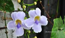 不开心的英文短句子 不开心的英语说说