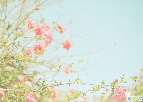 2020年豆阴山水讲座