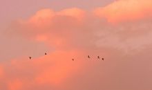 致自己的经典短句 写给2020的自己励志短句