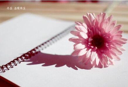 小小的幸福珍惜你面前的一切