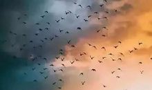 人总要面对现实的句子