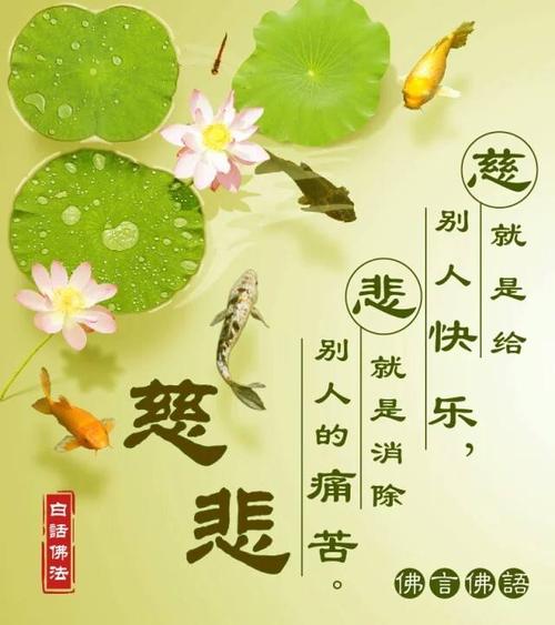 佛经中最美的句子