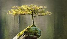 2020独一无二的微信名