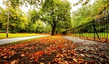 关于秋天美景的诗句