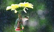 最优美的写景诗